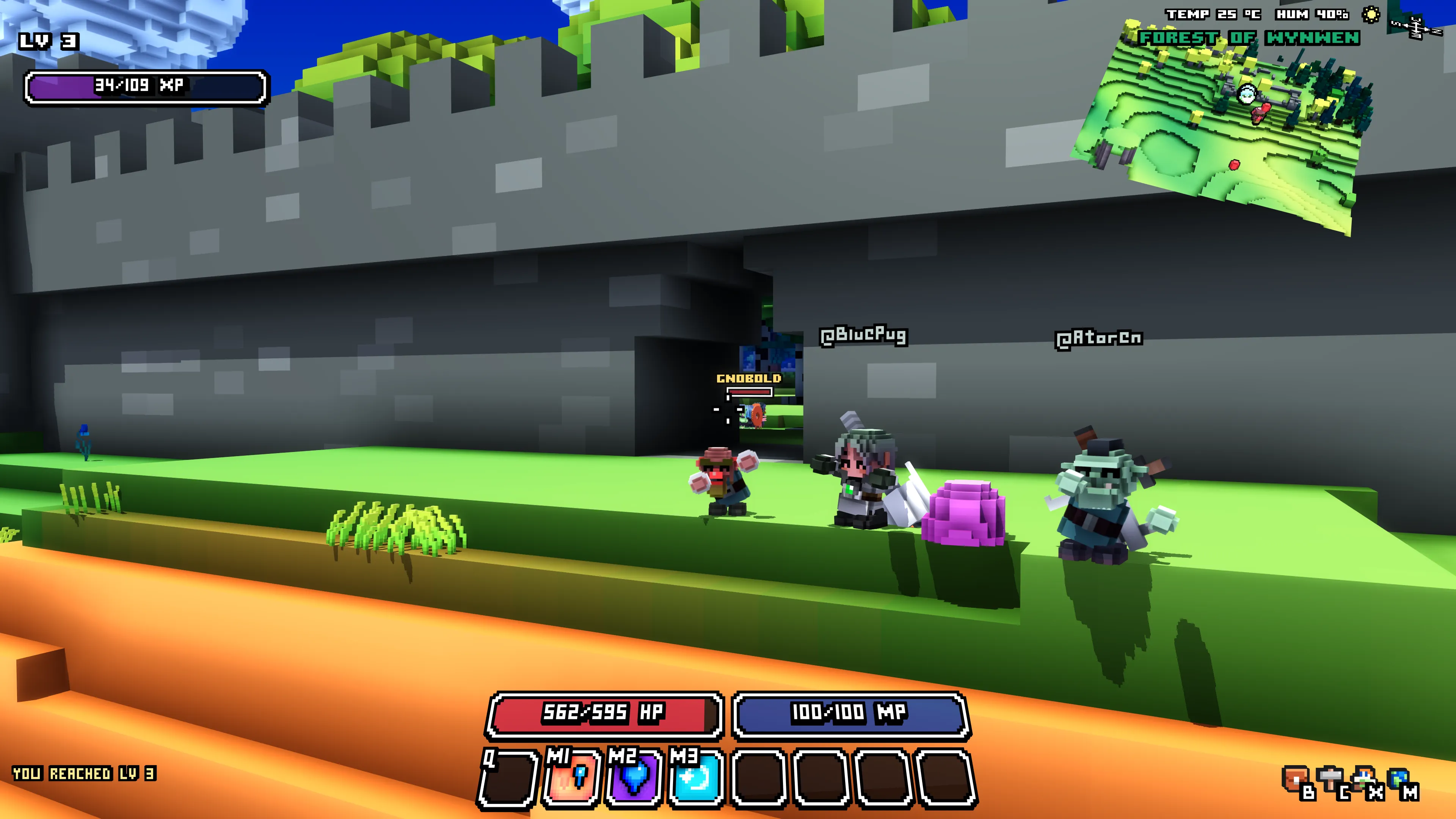 Playing together with beta testers outside a castle in Cube World Omega.